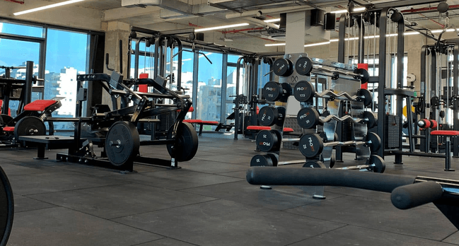 Profit Gym