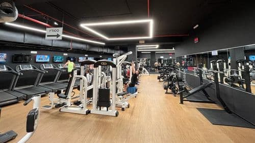 BeneFit תל מונד